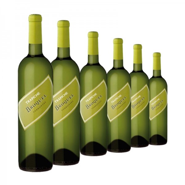 6 Flaschen BROQUEL Torrontés