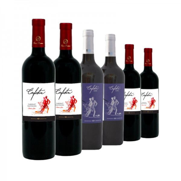 6 Flaschen Cafetin (2x Malbec, 2x Blend, 2x Classic Cabernet Sauvignon)